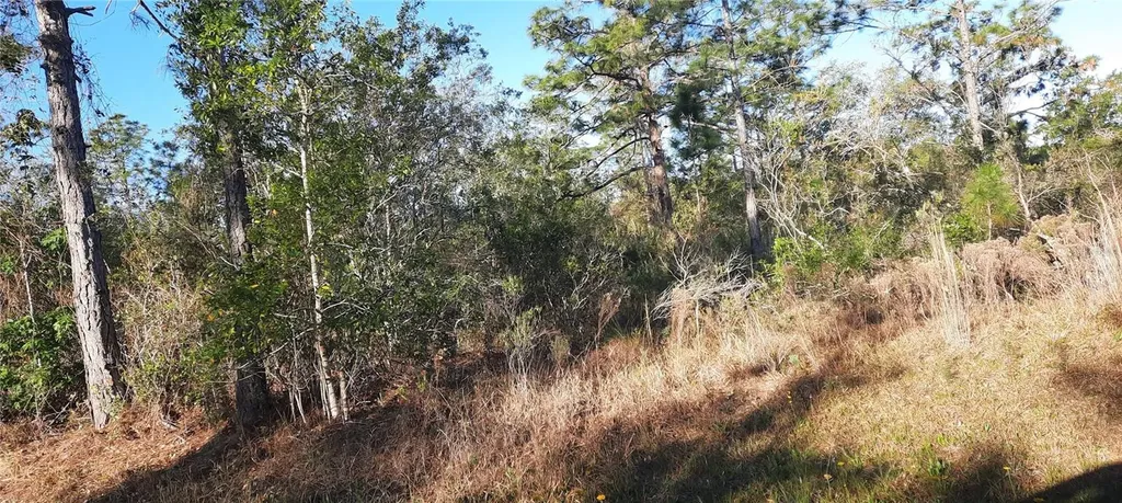 623 Granada Drive Indian Lake Estates FL 33855