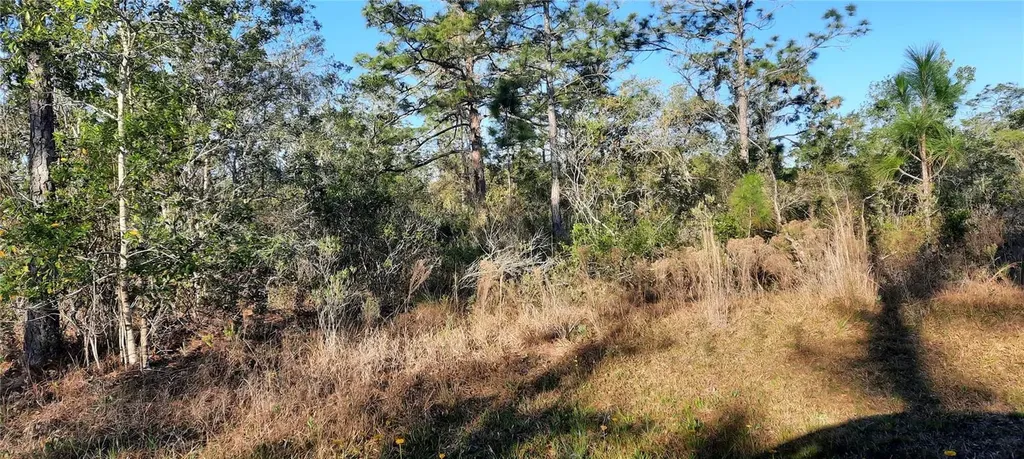623 Granada Drive Indian Lake Estates FL 33855