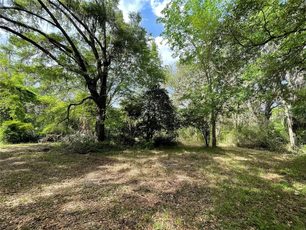 17400 NW 120th Avenue Road Reddick FL 32686