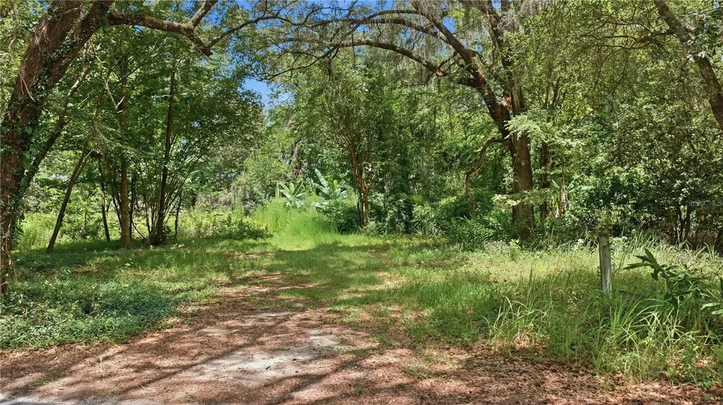 17400 NW 120th Ave Road Reddick FL 32686