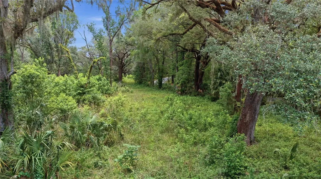 17400 NW 120th Ave Road Reddick FL 32686