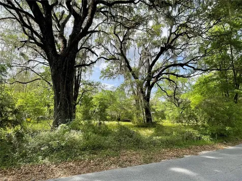 17400 NW 120th Avenue Road Reddick FL 32686