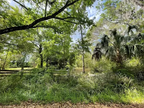 17400 NW 120th Avenue Road Reddick FL 32686