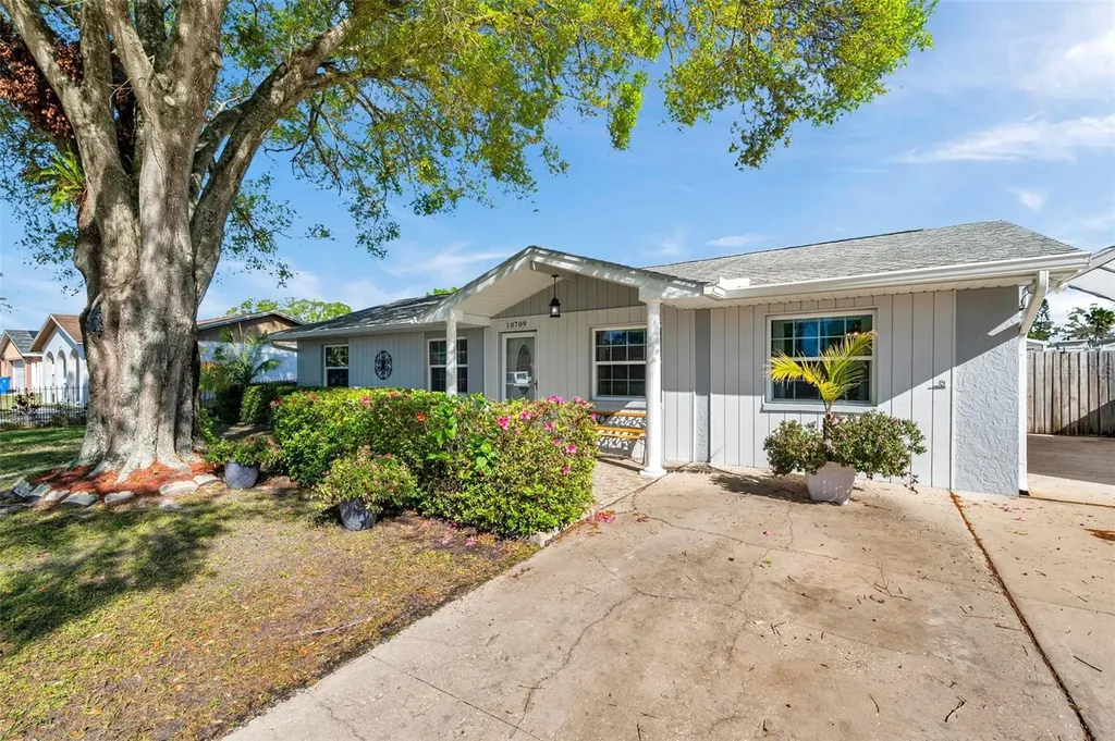 10709 Airview Drive Tampa FL 33625