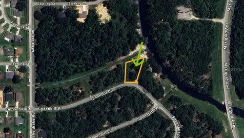 268 Spoonbill Drive Kissimmee FL 34759