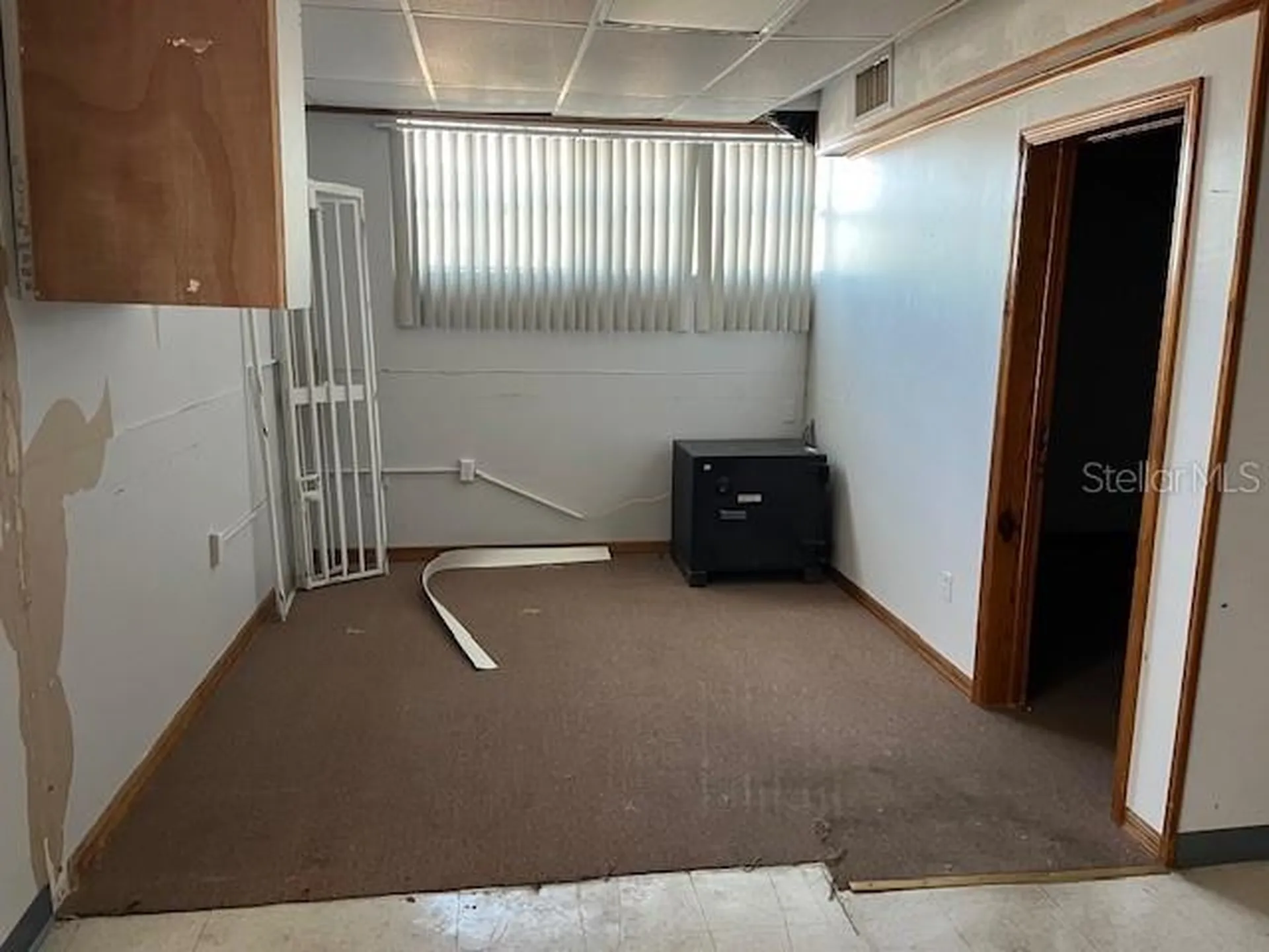 10802 Main Street Thonotosassa FL 33592