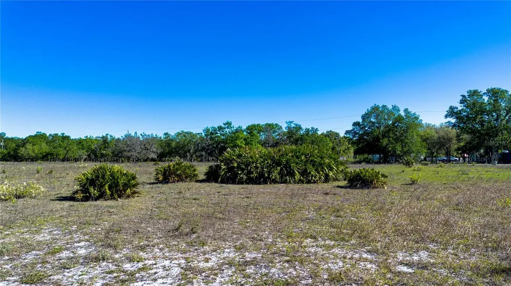 1 Alderman Turner Road Wimauma FL 33598
