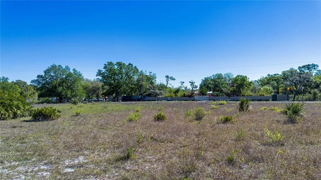 1 Alderman Turner Road Wimauma FL 33598