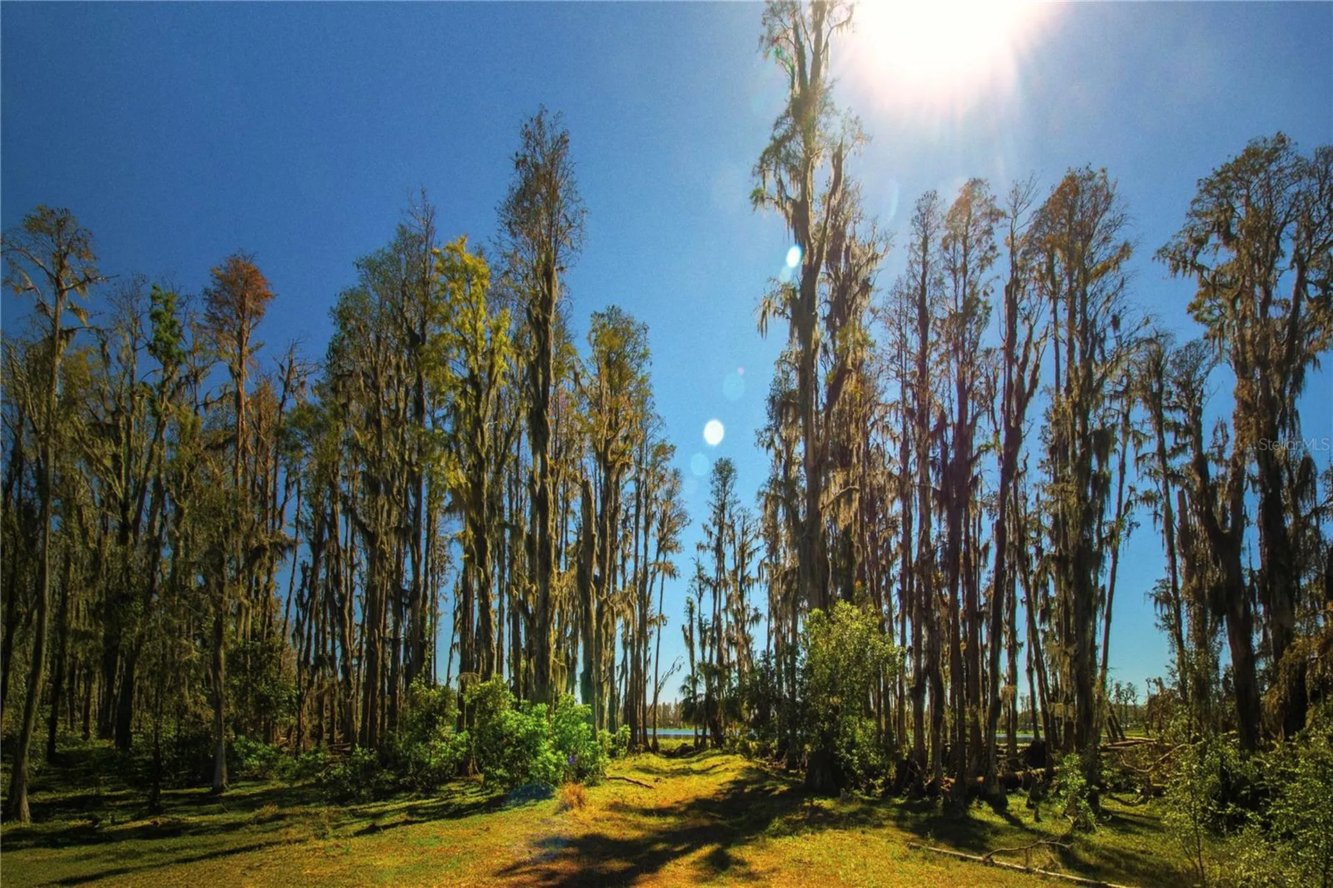 1 Alderman Turner Road Wimauma FL 33598