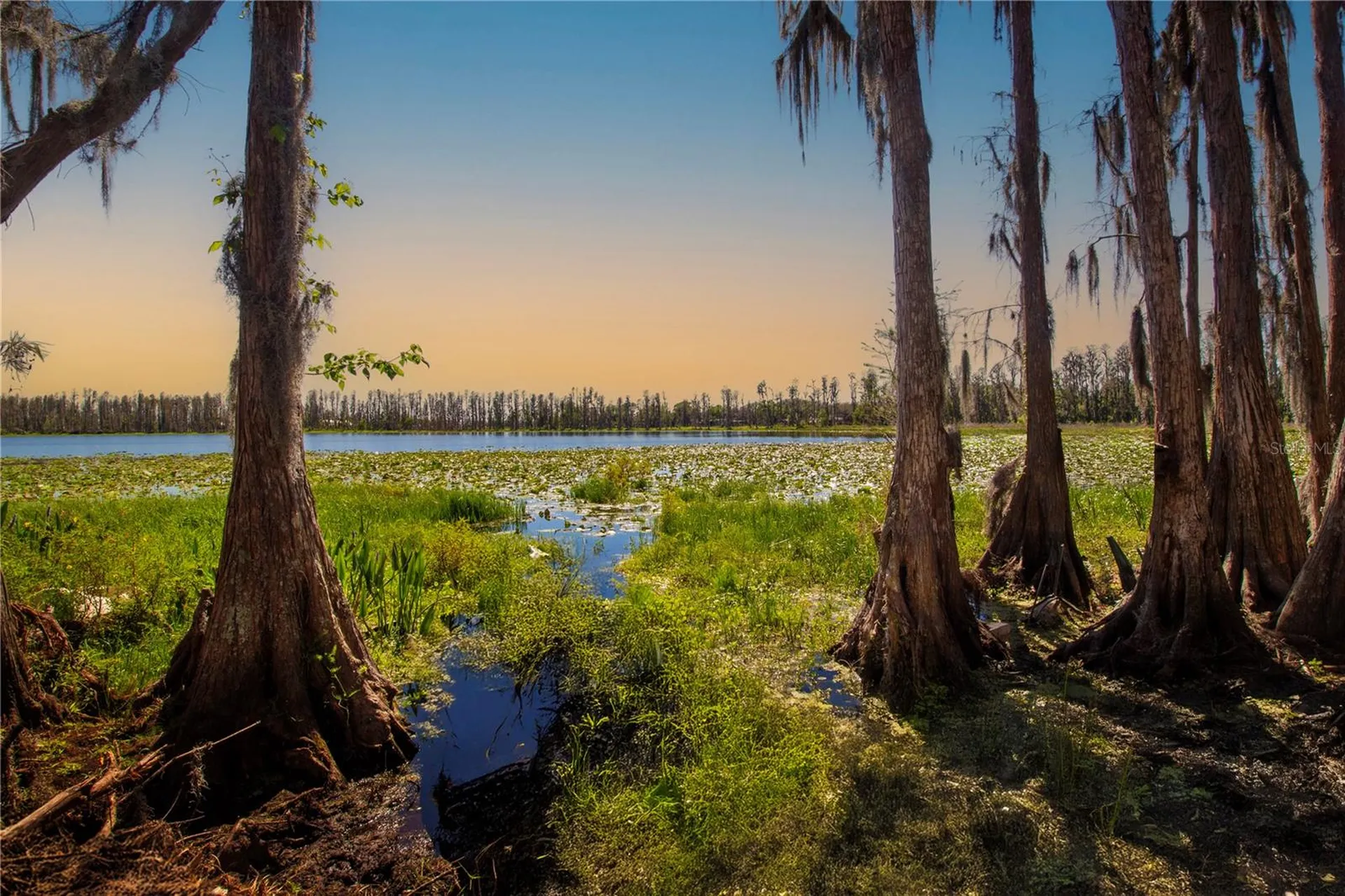 1 Alderman Turner Road Wimauma FL 33598