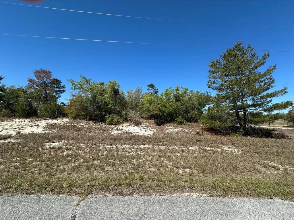 1386 Homosassa Drive Kissimmee FL 34759
