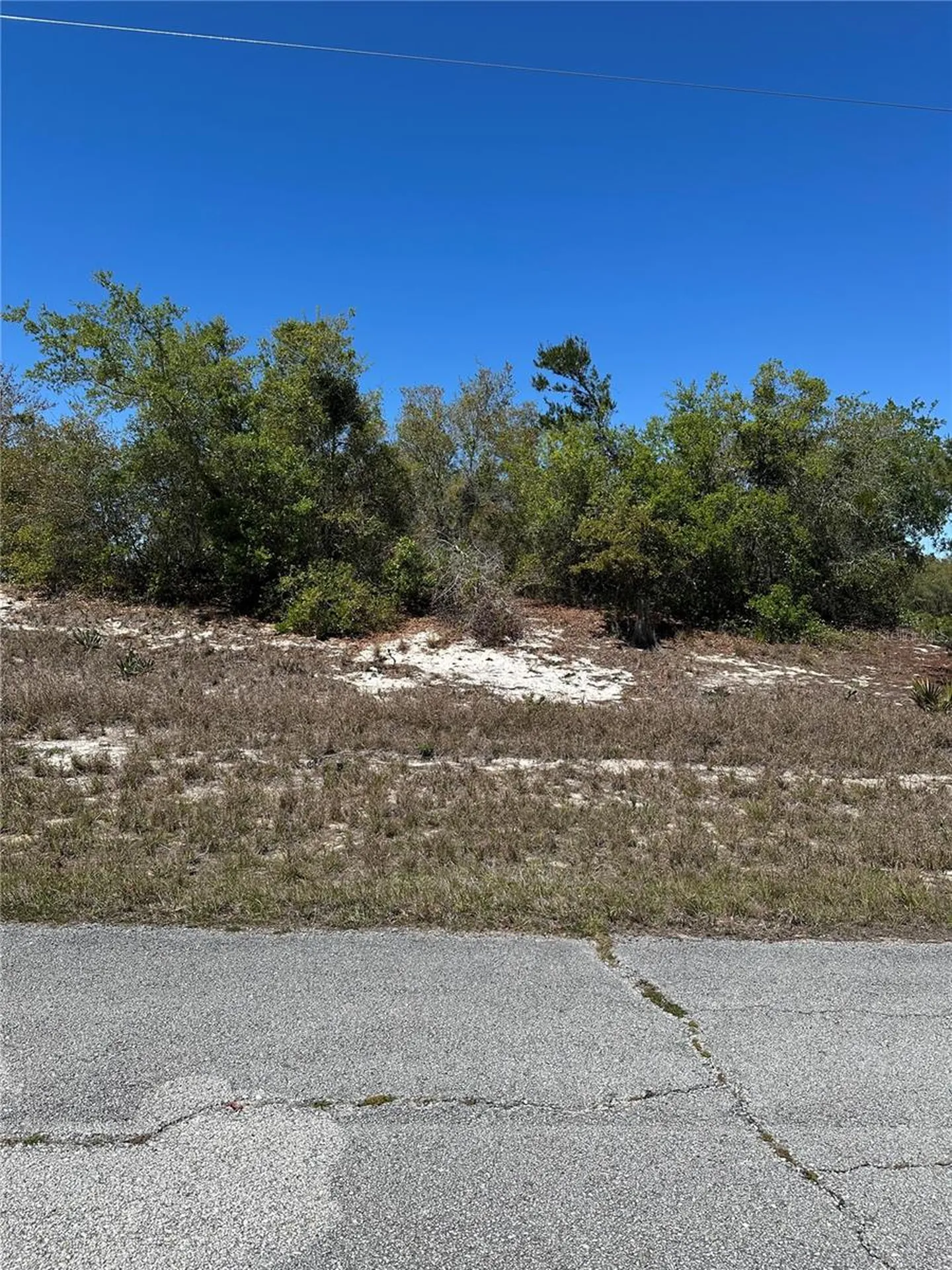 1386 Homosassa Drive Kissimmee FL 34759