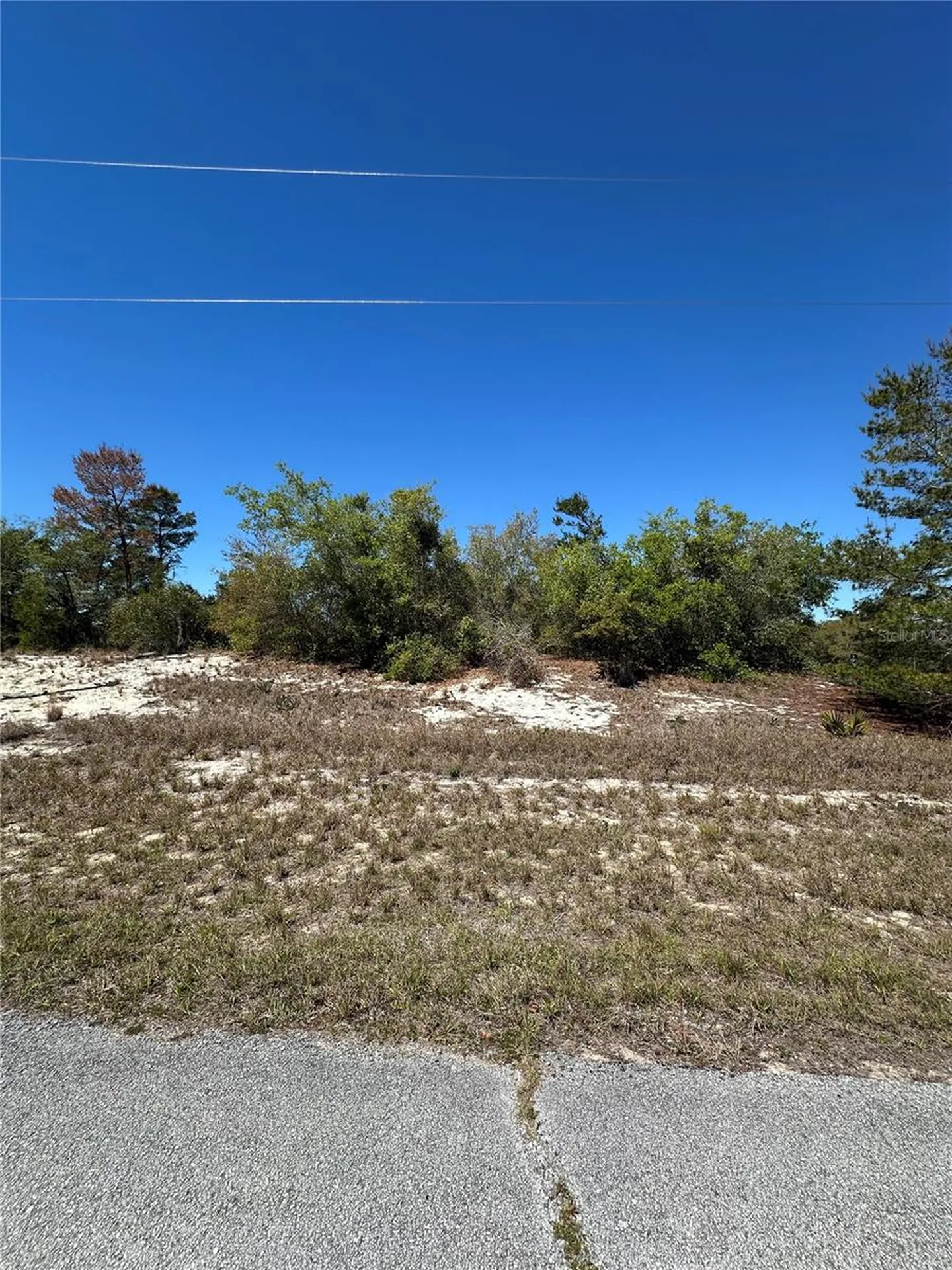 1386 Homosassa Drive Kissimmee FL 34759