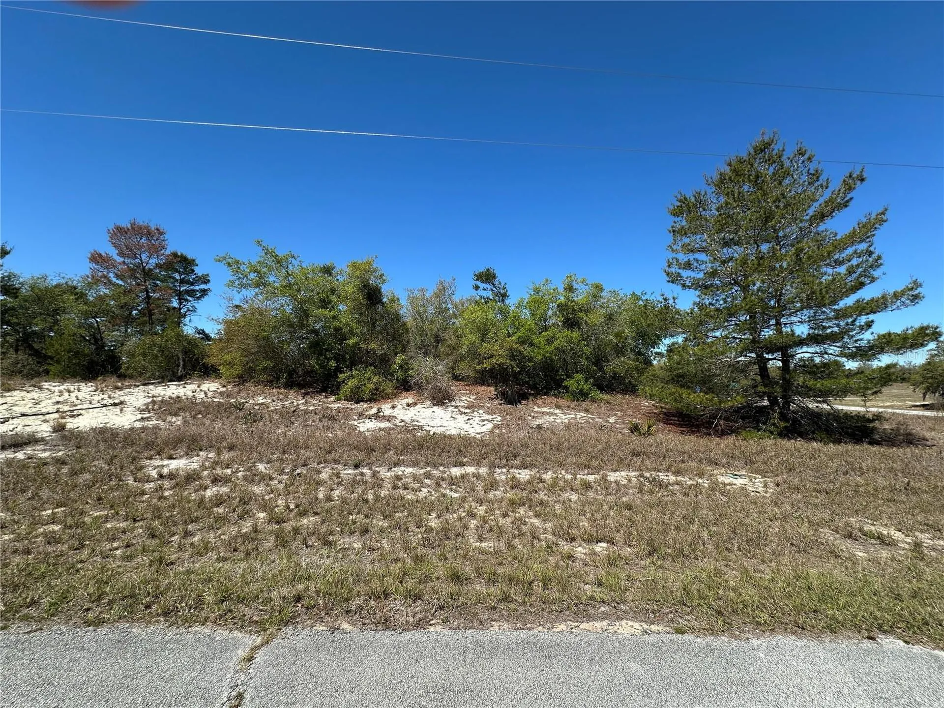 1386 Homosassa Drive Kissimmee FL 34759
