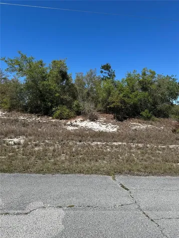 1386 Homosassa Drive Kissimmee FL 34759