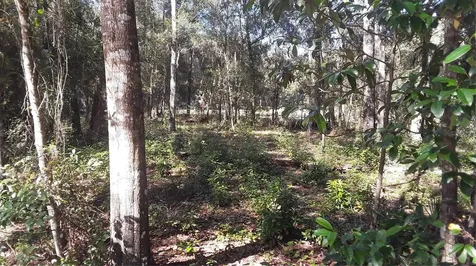 0 SE 204th Court Umatilla FL 32784