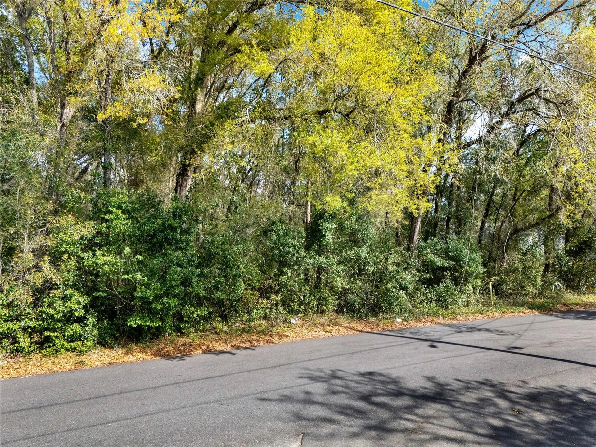 709 S Smith Avenue Inverness FL 34453