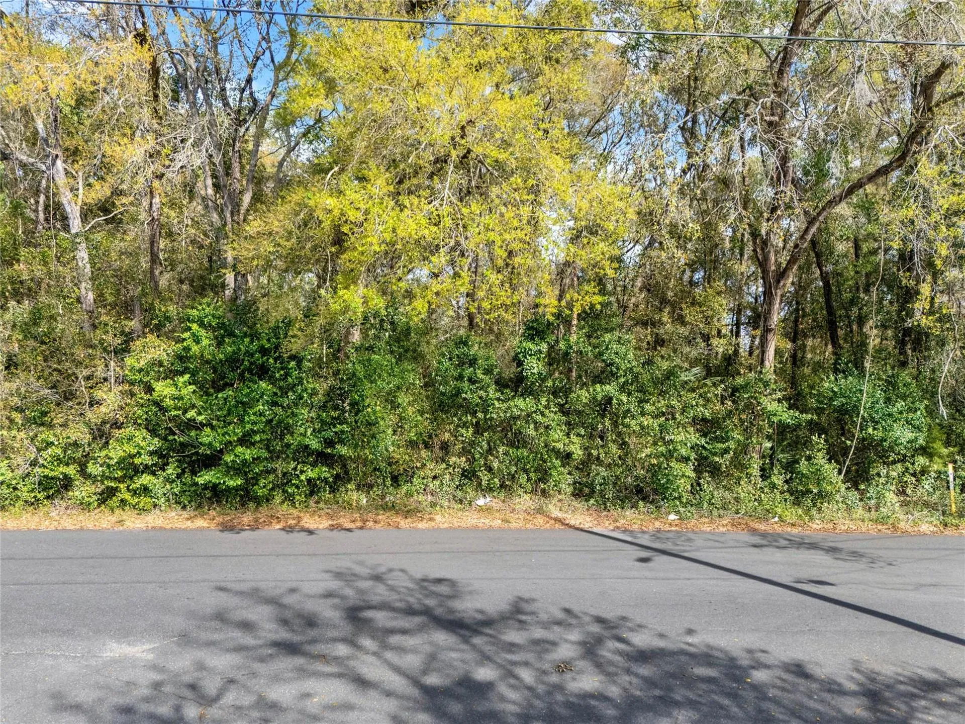 709 S Smith Avenue Inverness FL 34453