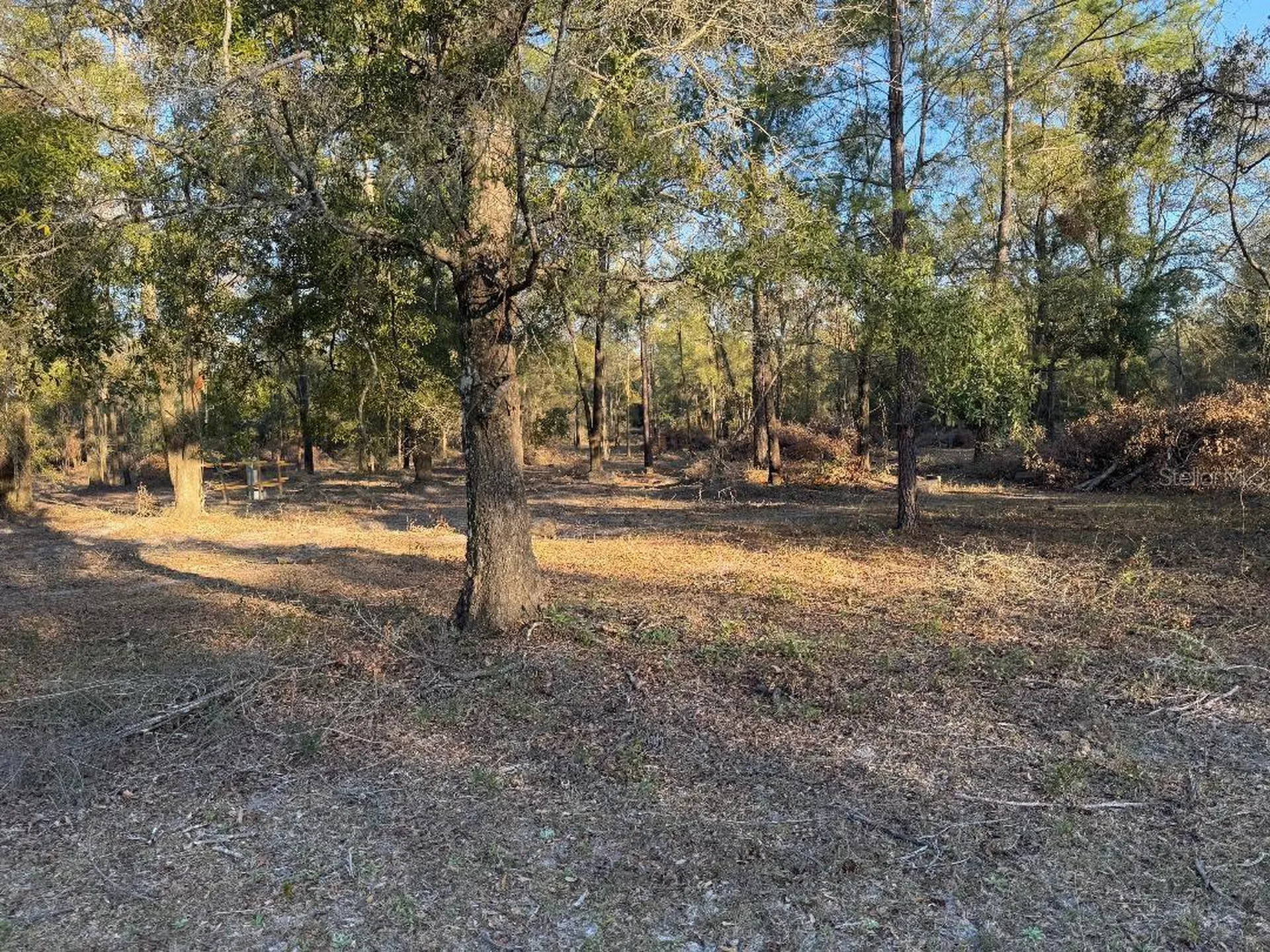 Roanoke Terrace Fort White FL 32038