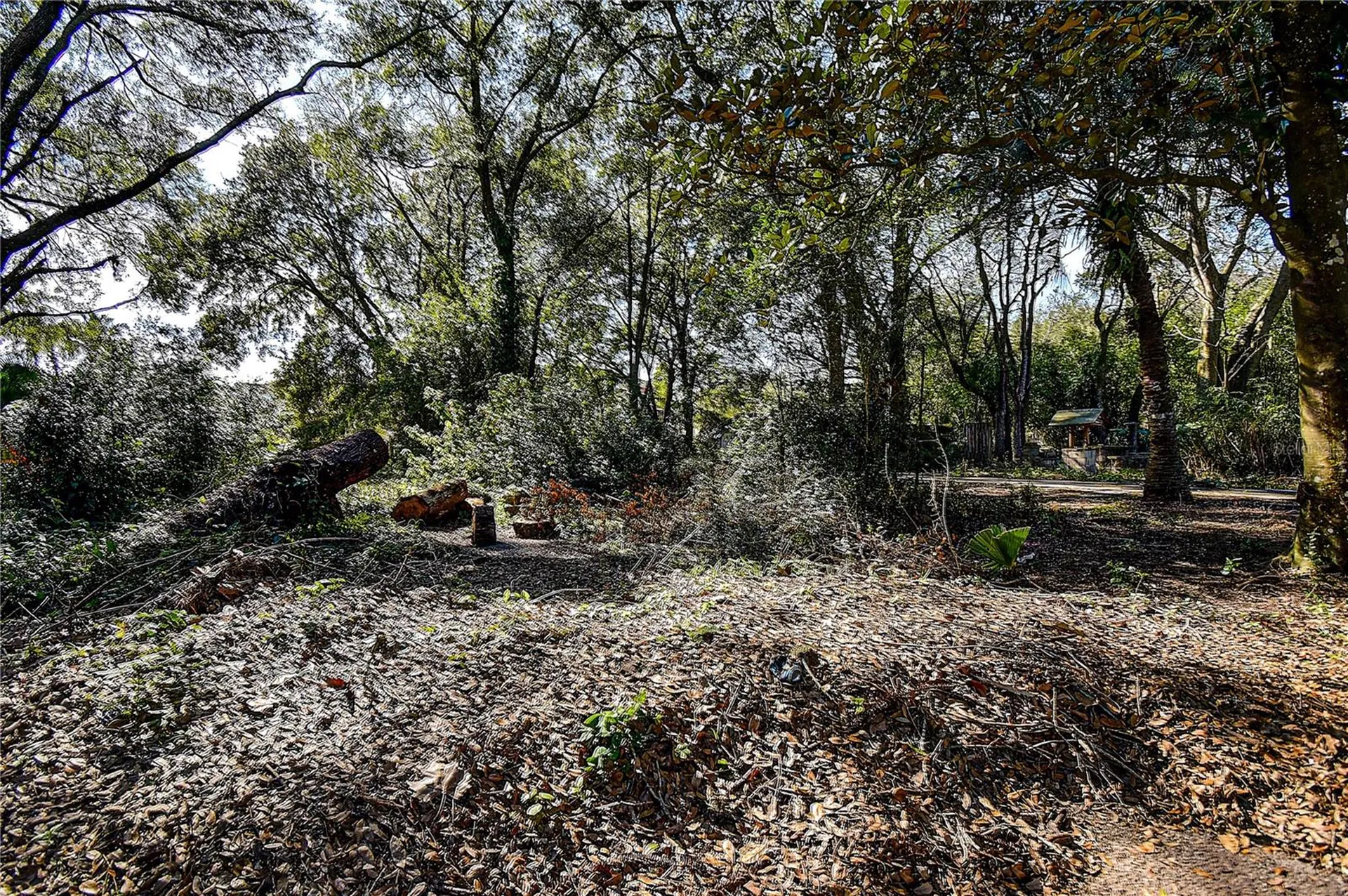 37644 Daughtery Road Zephyrhills FL 33541