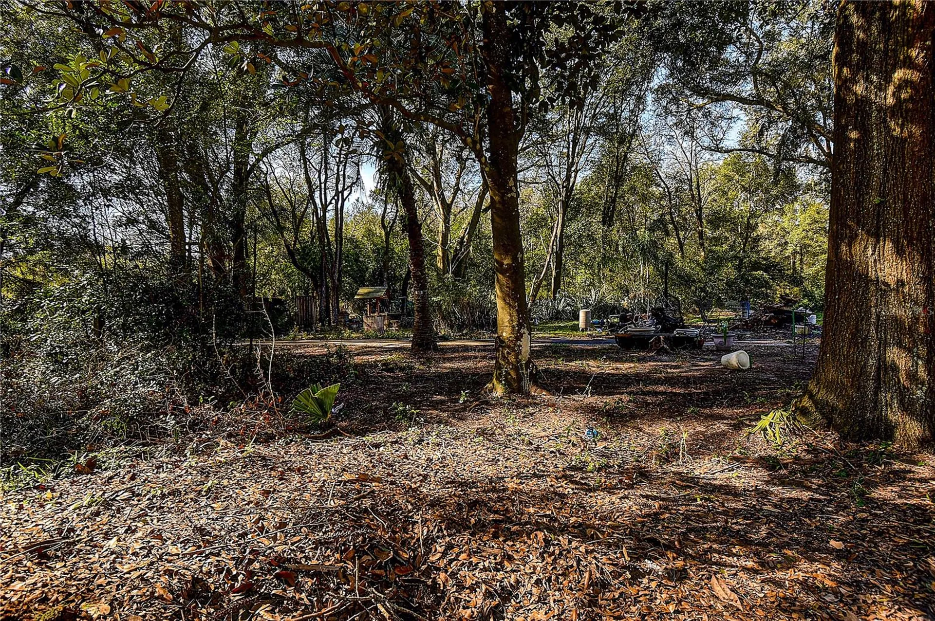 37644 Daughtery Road Zephyrhills FL 33541