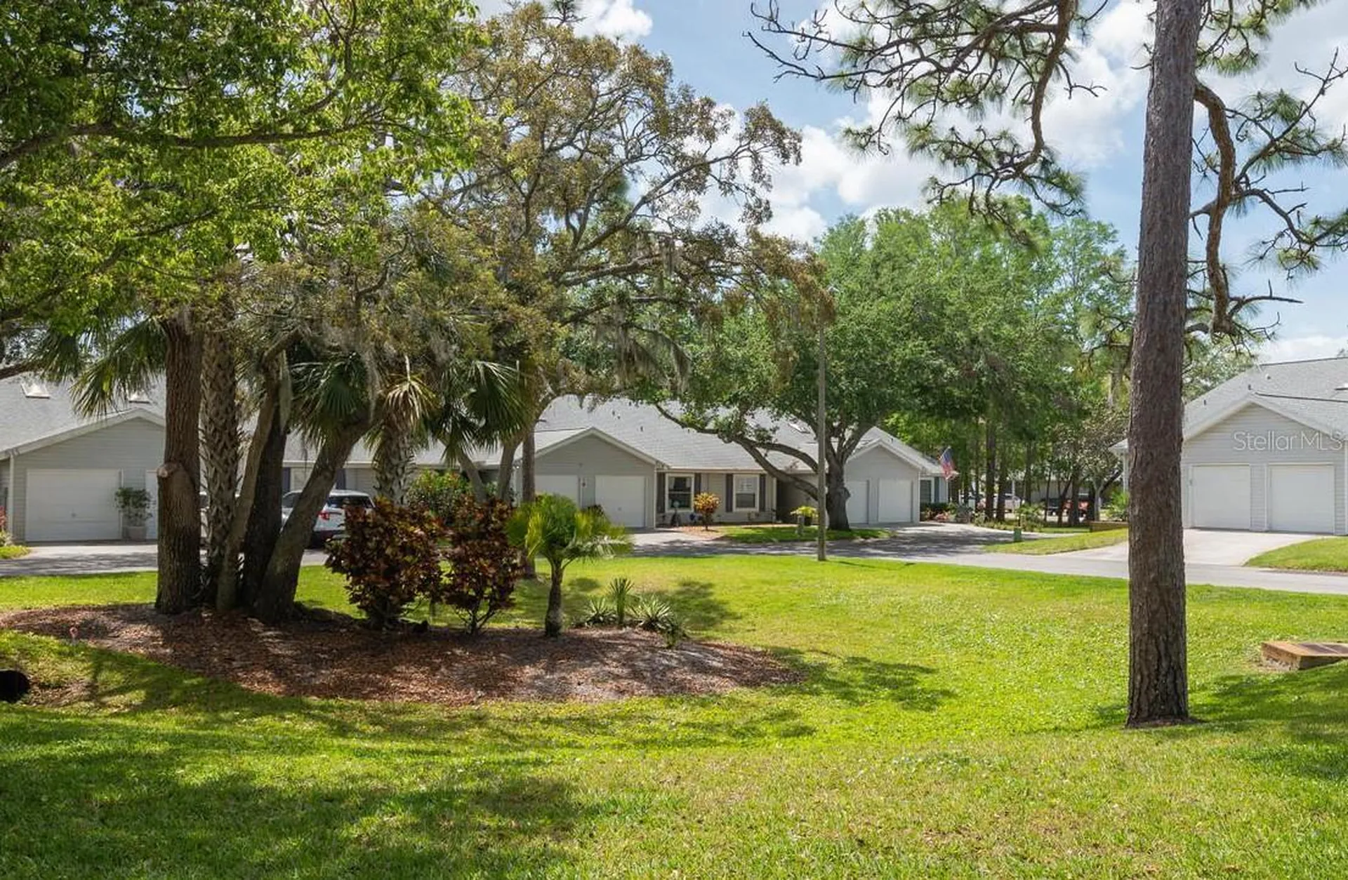 39650 Us Highway 19 N Tarpon Springs FL 34689