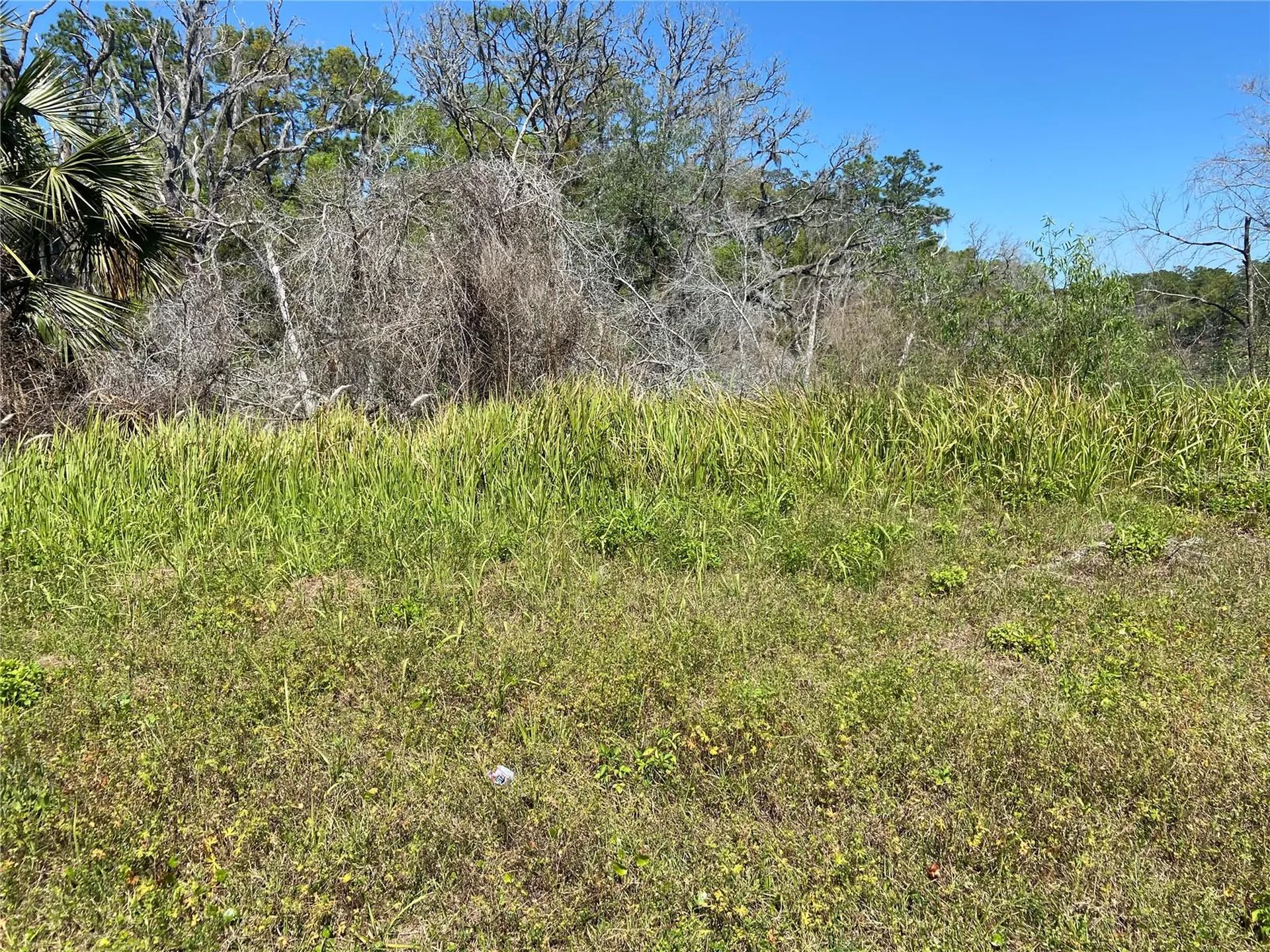 Parcel 27 15 30 00 00 0200 De Leon Springs FL 32130