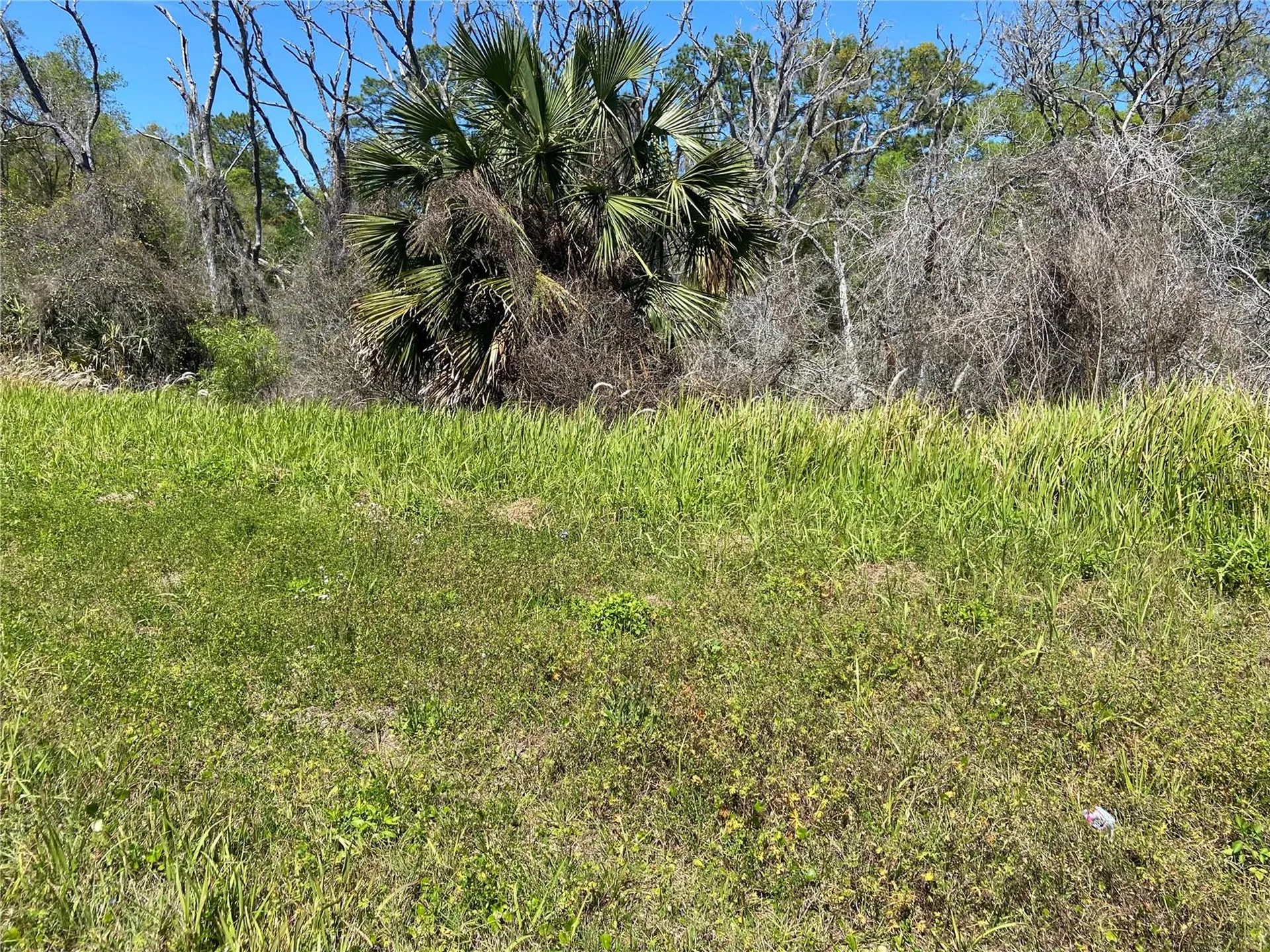Parcel 27 15 30 00 00 0200 De Leon Springs FL 32130