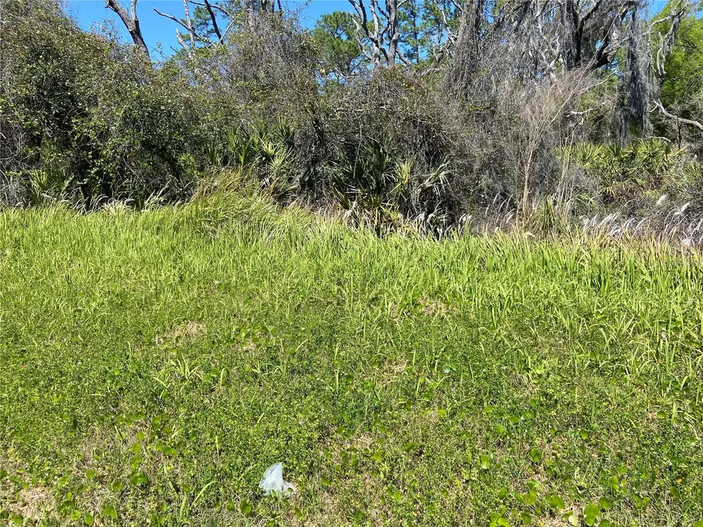 Parcel 27 15 30 00 00 0160 De Leon Springs FL 32130