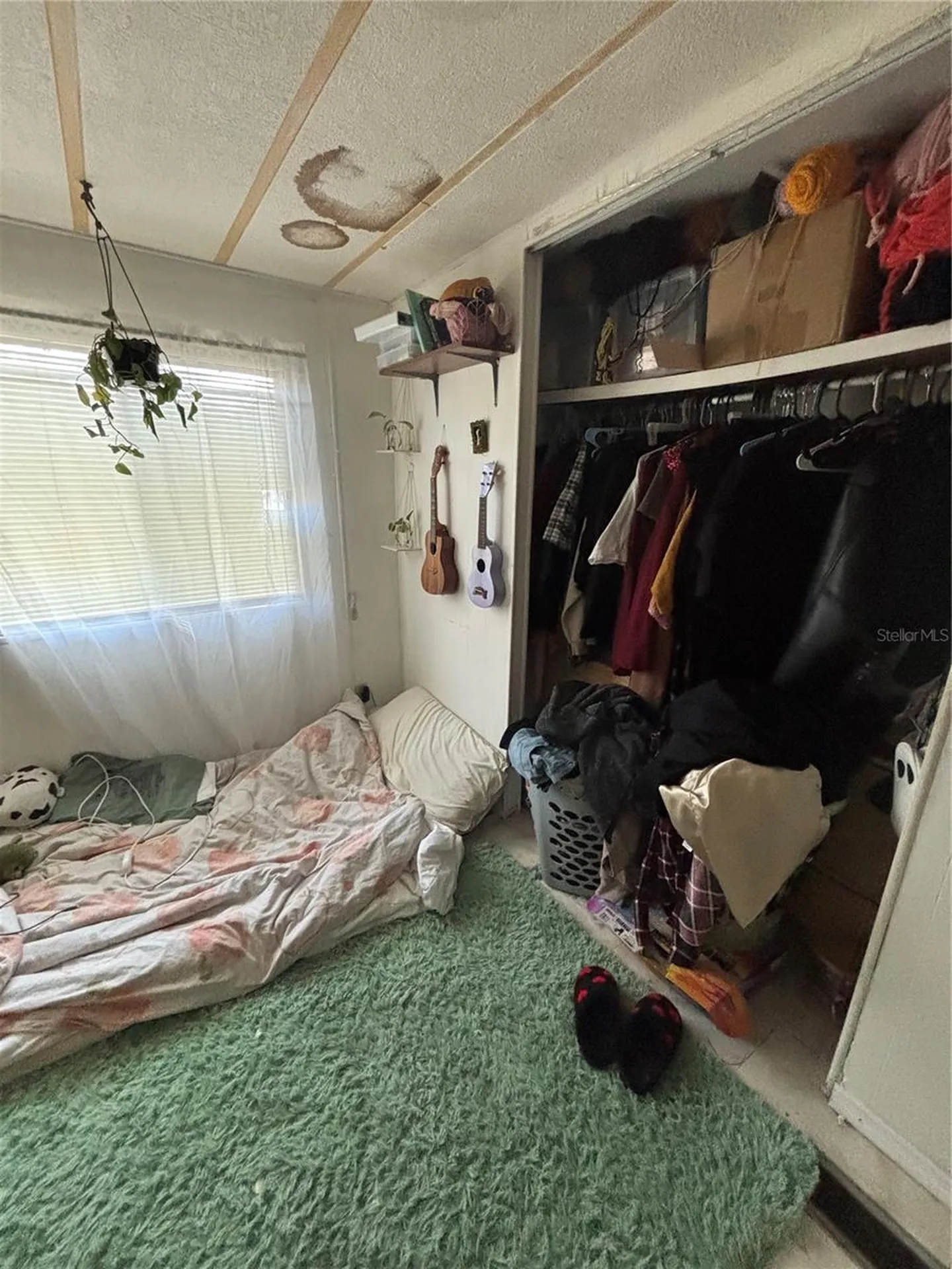 7351 Sealawn Drive Spring Hill FL 34606