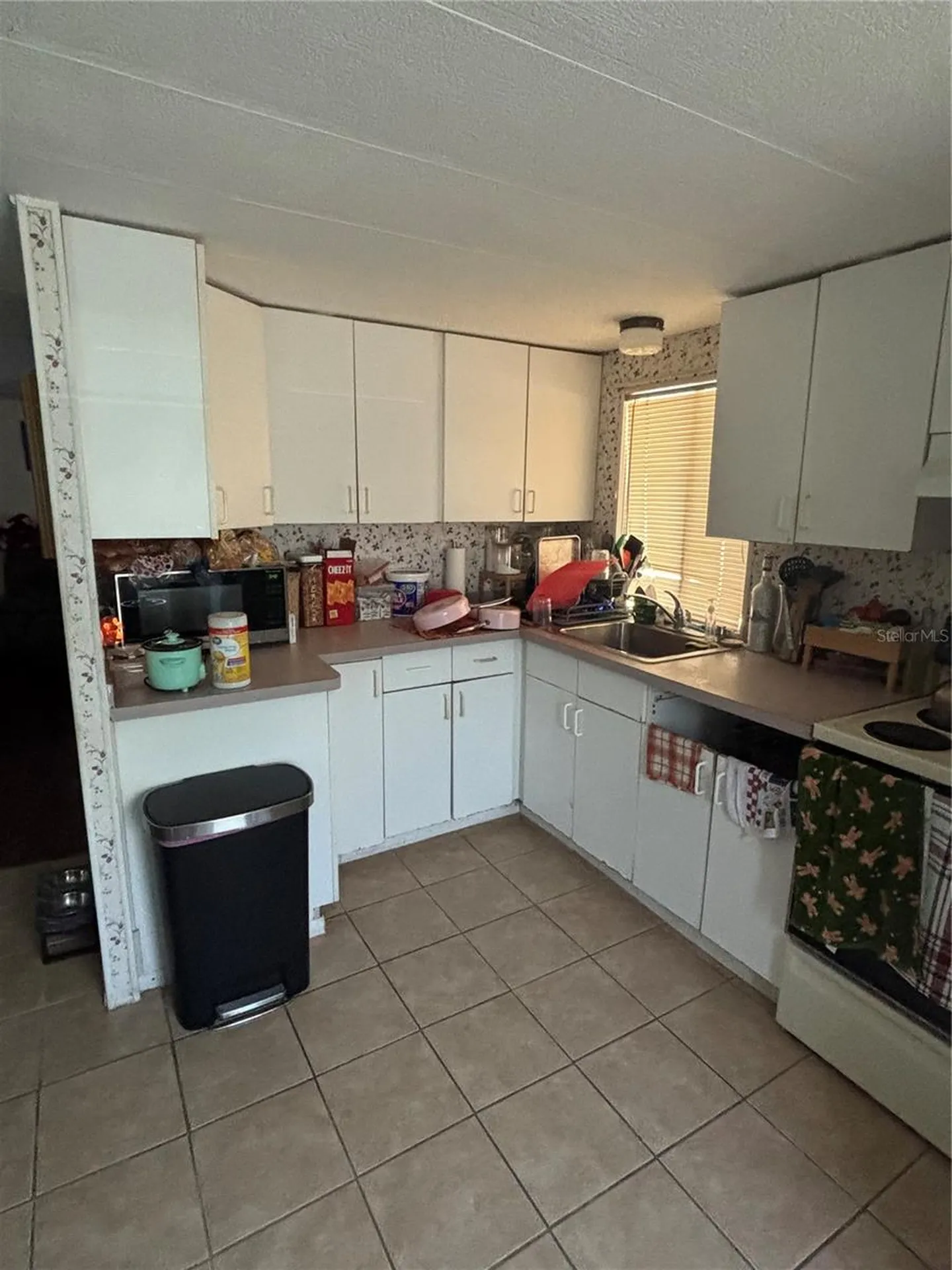7351 Sealawn Drive Spring Hill FL 34606