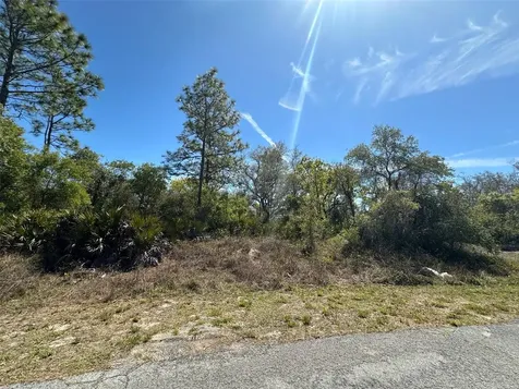 419 Maitland Court Kissimmee FL 34759