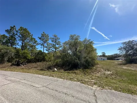 419 Maitland Court Kissimmee FL 34759
