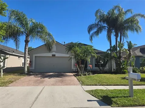 31150 Harthorn Court Wesley Chapel FL 33543