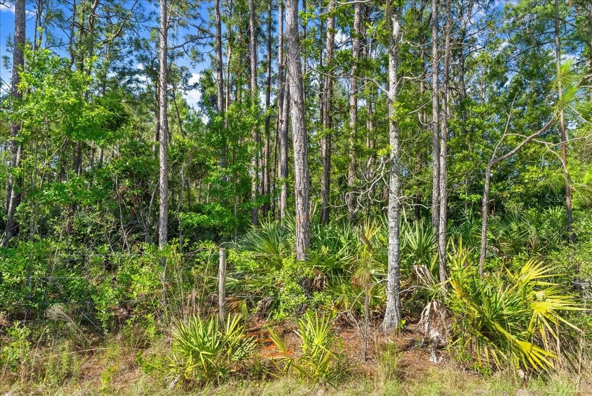 1500 Town West Boulevard Port Orange FL 32128