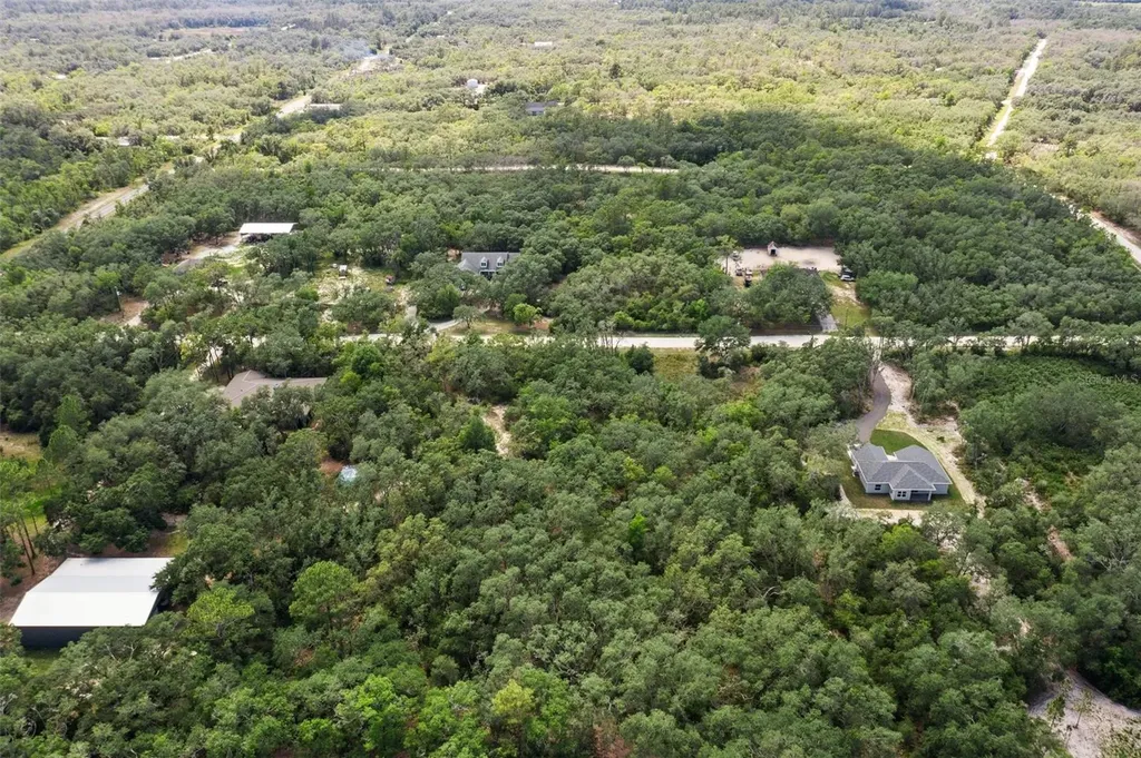 8184 Chimney Rock Drive Webster FL 33597