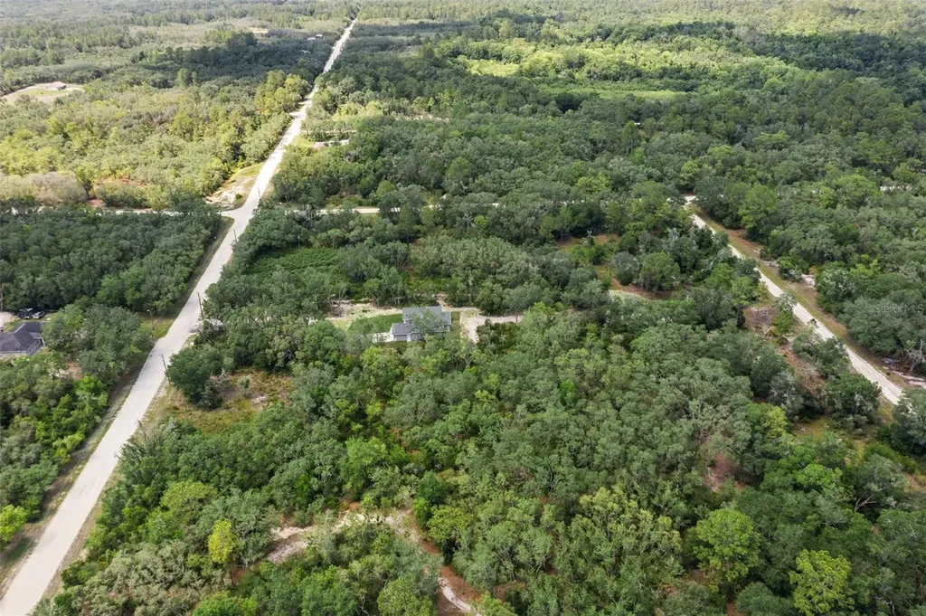 8184 Chimney Rock Drive Webster FL 33597