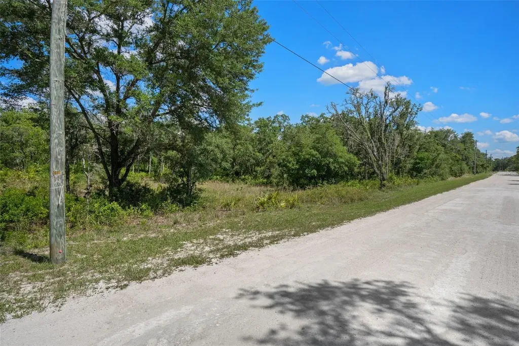 8184 Chimney Rock Drive Webster FL 33597