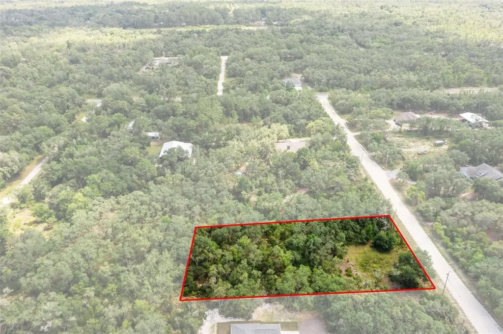 8184 Chimney Rock Drive Webster FL 33597