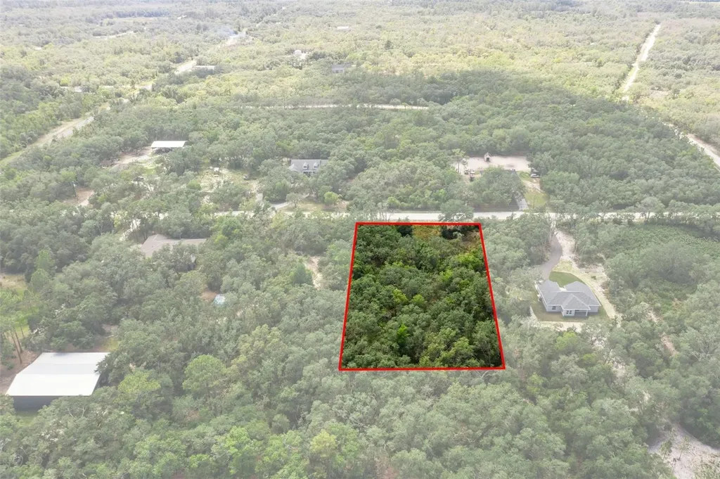 8184 Chimney Rock Drive Webster FL 33597