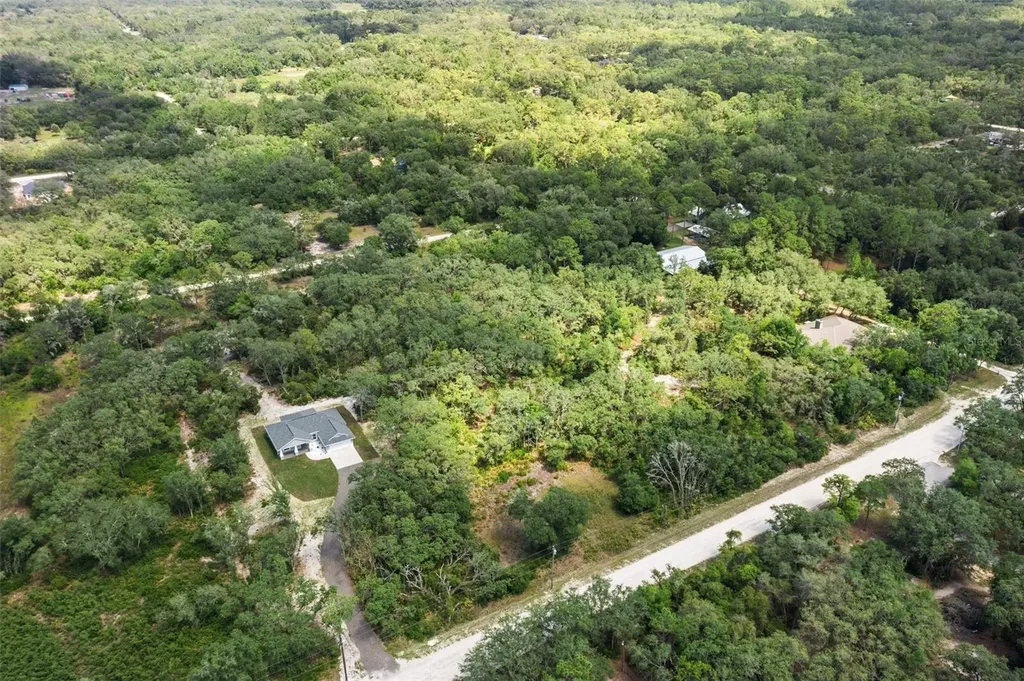 8184 Chimney Rock Drive Webster FL 33597