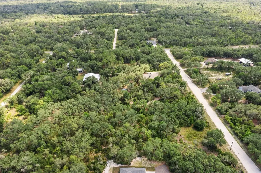 8184 Chimney Rock Drive Webster FL 33597