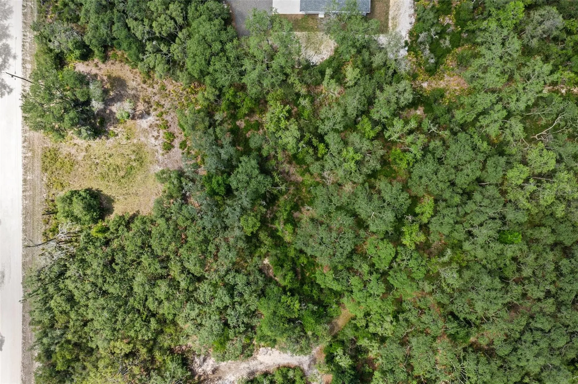 8184 Chimney Rock Drive Webster FL 33597
