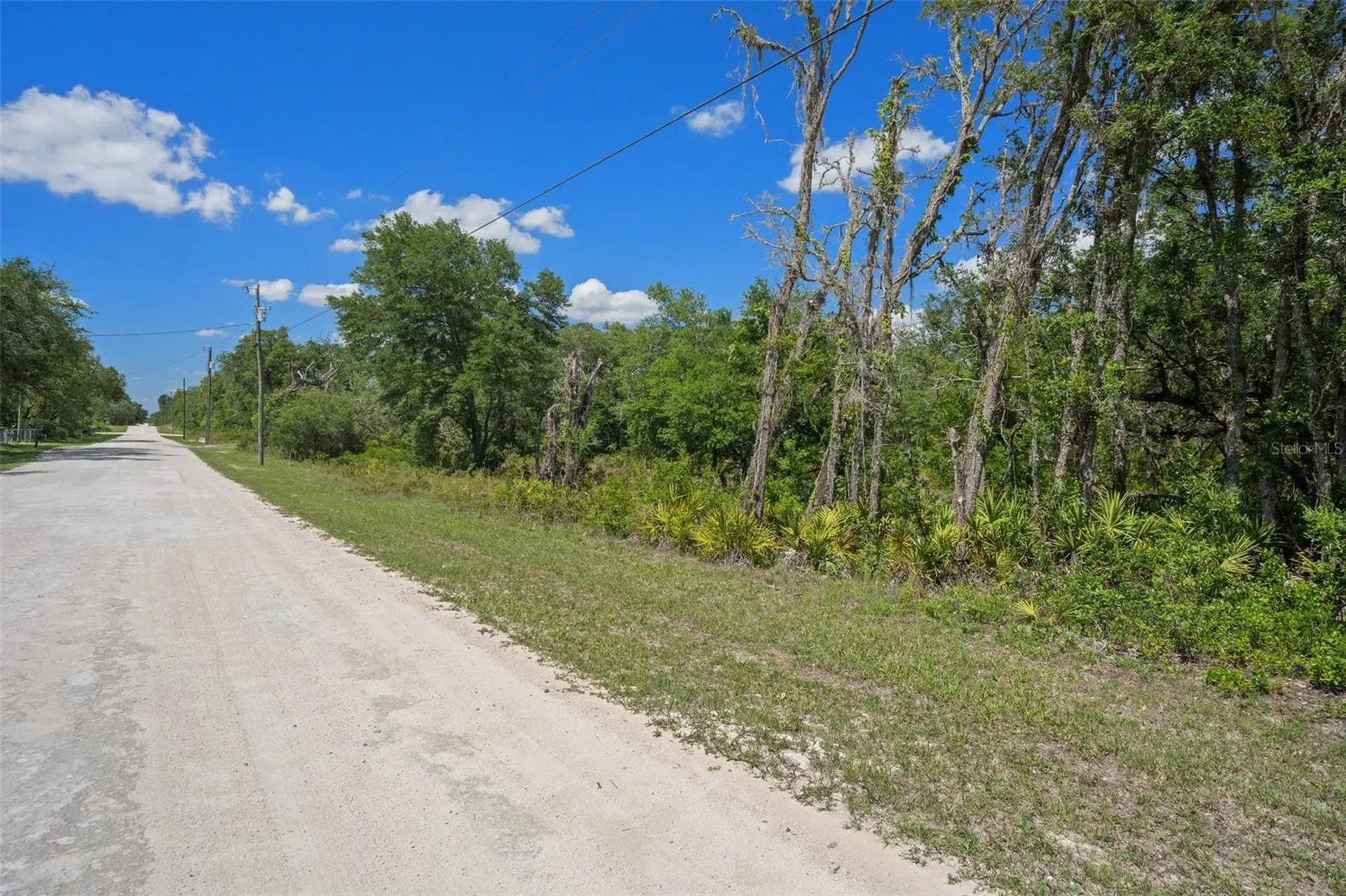 8184 Chimney Rock Drive Webster FL 33597