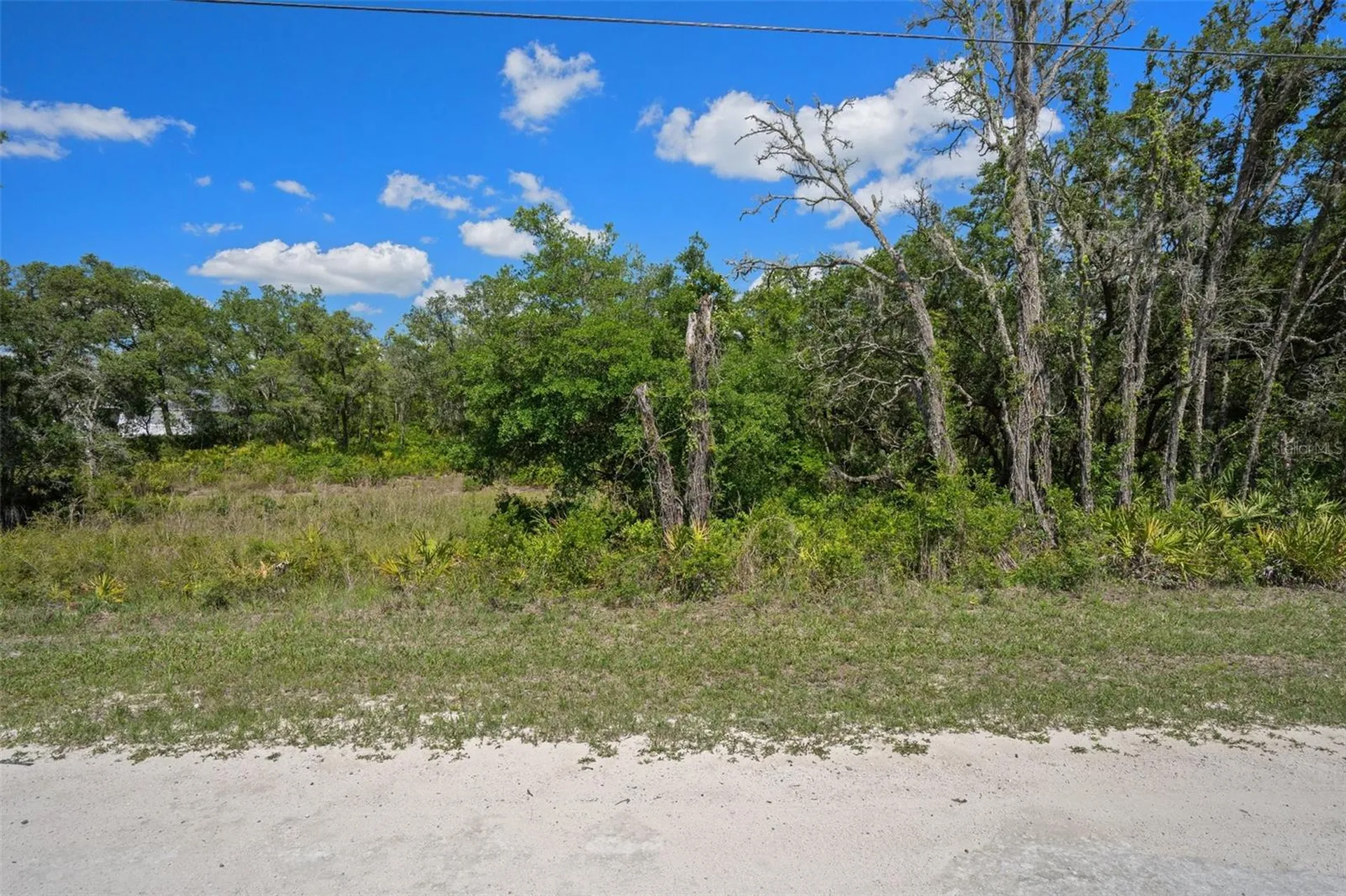 8184 Chimney Rock Drive Webster FL 33597