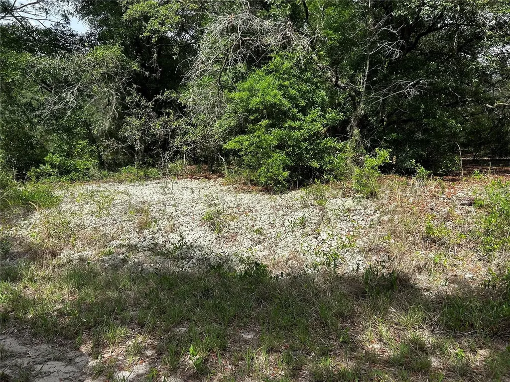 Tbd Uplands Avenue Dunnellon FL 34431