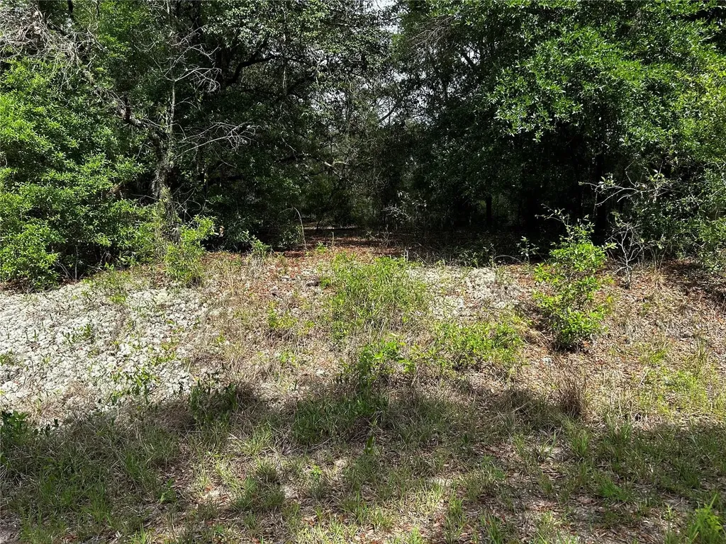 Tbd Uplands Avenue Dunnellon FL 34431