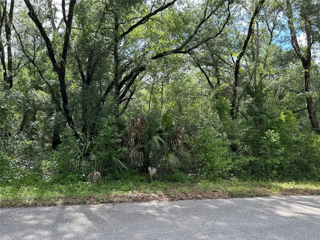 Tbd Uplands Avenue Dunnellon FL 34431