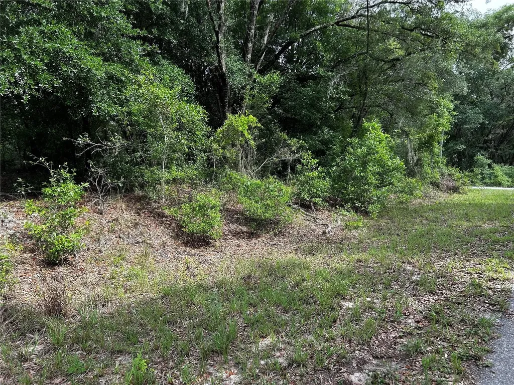 Tbd Uplands Avenue Dunnellon FL 34431