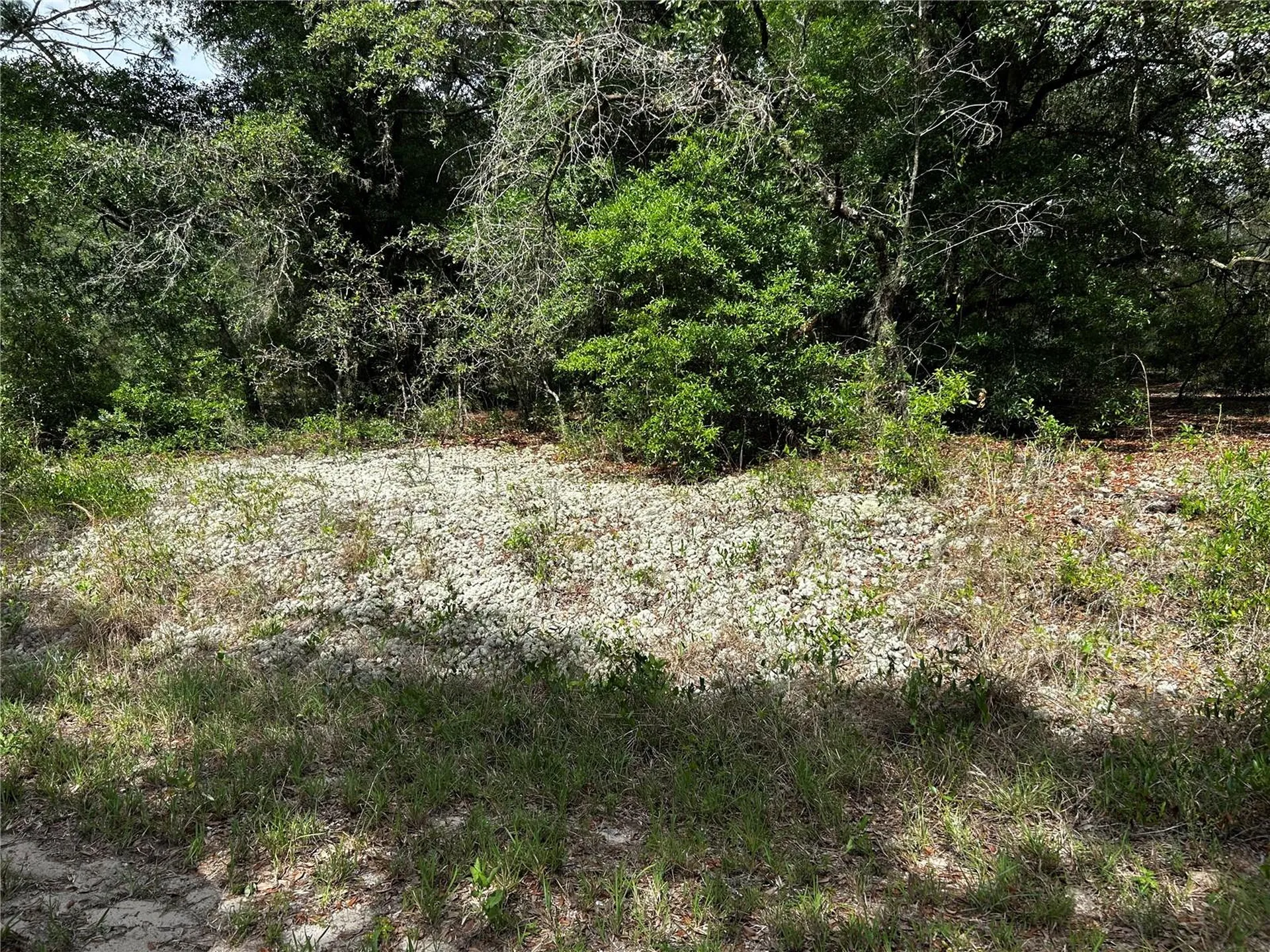 Tbd Uplands Avenue Dunnellon FL 34431